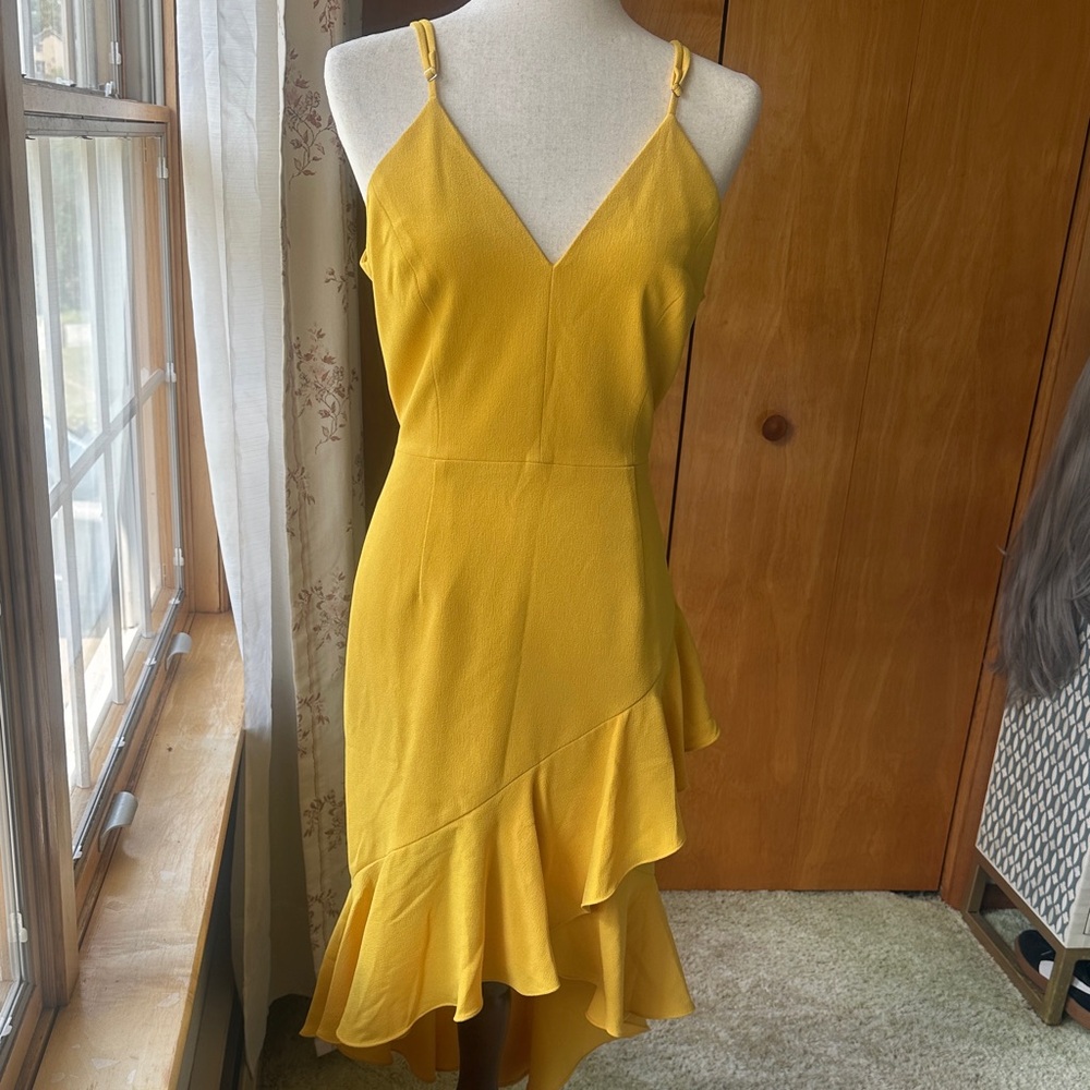 Dress the Population: Yellow Ruffle Dress (EUC)
